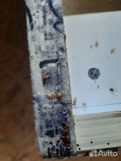 Дезинфекция,дезинсекция тараканы,клоп,мыши