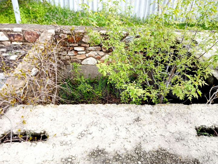 Участок 7 сот. (ИЖС)