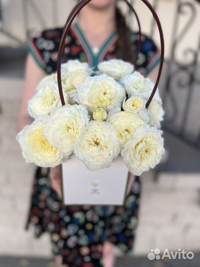 Пионовидные розы