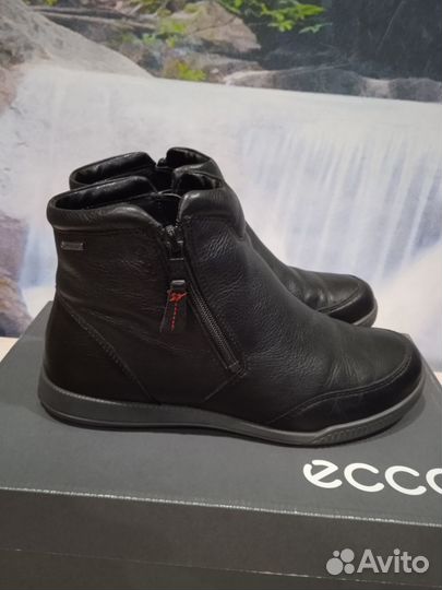 Ботинки Ecco Crisp. Размер 37. Gore- tex