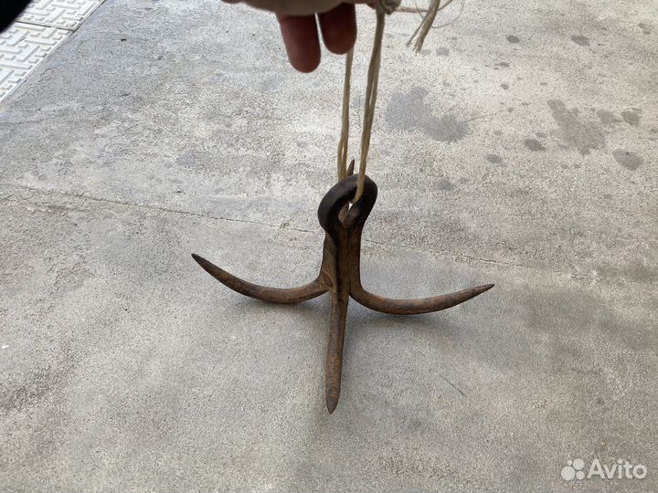 Кошка - Якорь