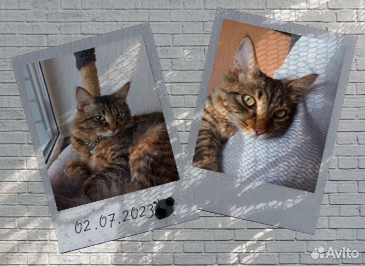 Fujifilm Instax Mini 12 Film Camera (мятный)