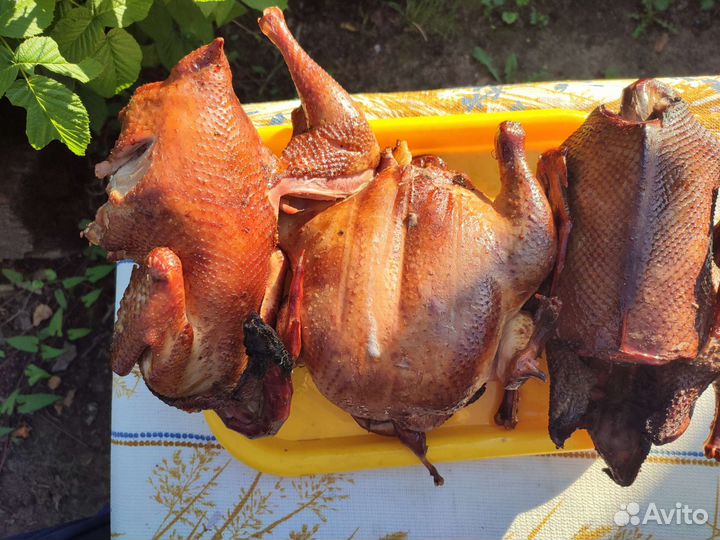 Мясо утки,гуся