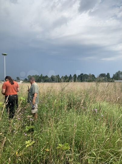 Участок 25 сот. (СНТ, ДНП)