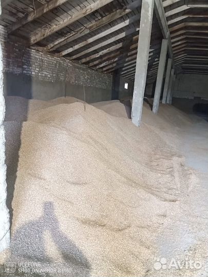 Зерно фуражное