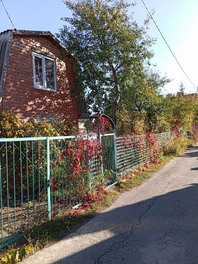 Дом 50 м² на участке 5 сот.