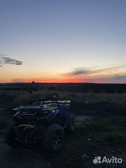 Квадроцикл motoland wild track x pro 300