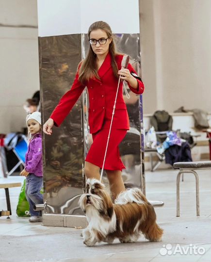 Услуги хендлера