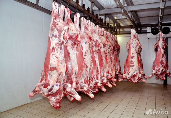 Продукты питания оптом