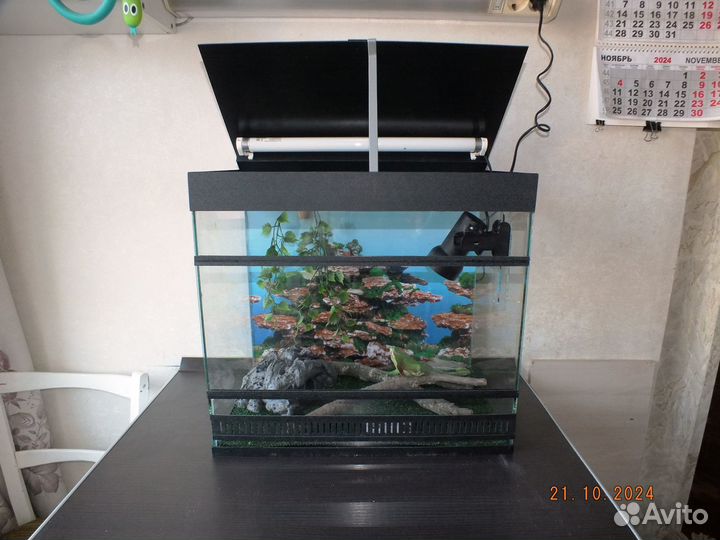 Новый террариум для геконов, эублефаров, агам