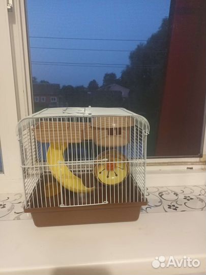 Клетка для хомяка