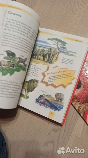 Детская энциклопедия