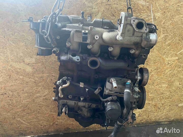 Двс (Двигатель) Ford Focus (2008-2011) qyba