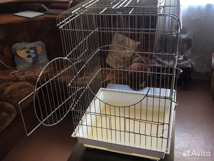 Клетка для попугая