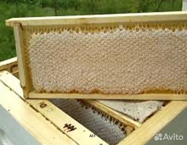 Мед 2024 года натуральный опт