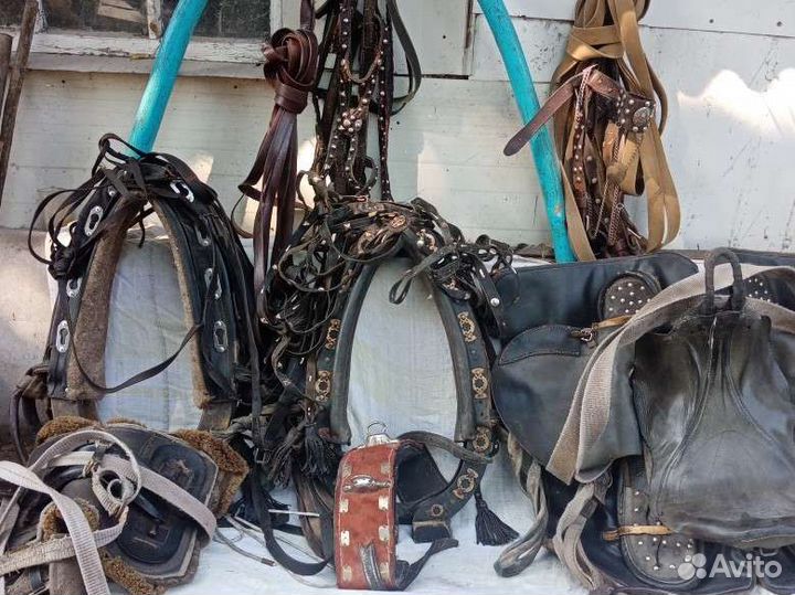 Сбруя для лошади