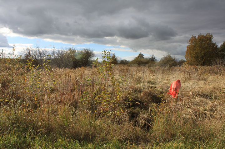 Участок 10 сот. (СНТ, ДНП)
