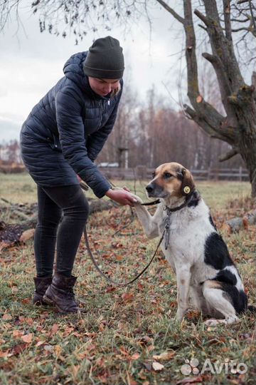 Отличная охранница и друг