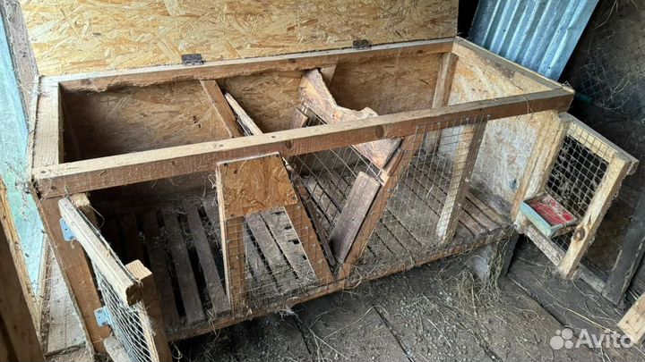 Клетки для кроликов