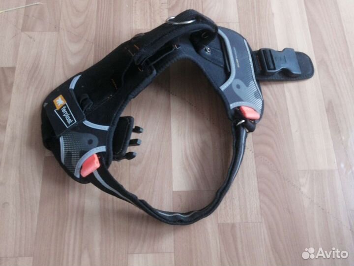 Шлейка для собаки Бронь