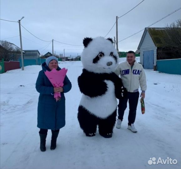 Мишка Панда