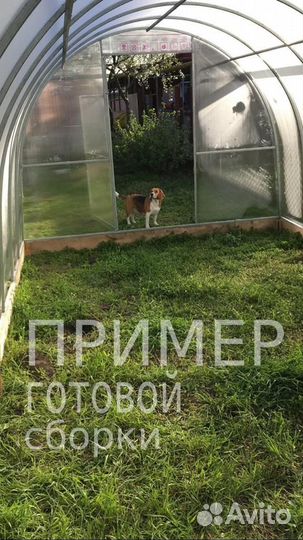 Усиленная теплица 6 м