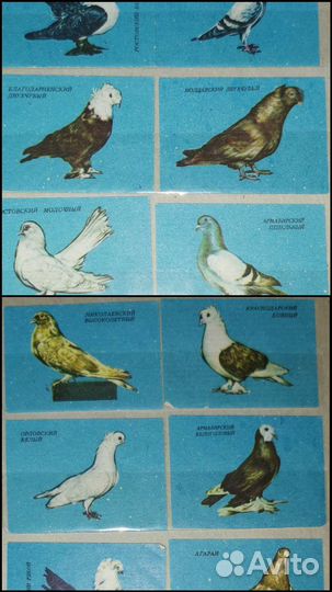 Спичечные коробки коллекционные СССР