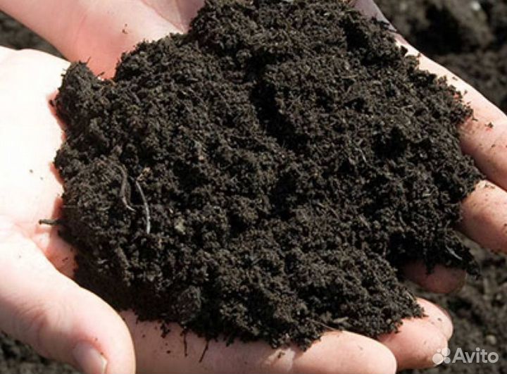 Земля чернозем