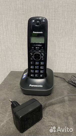 Panasonic