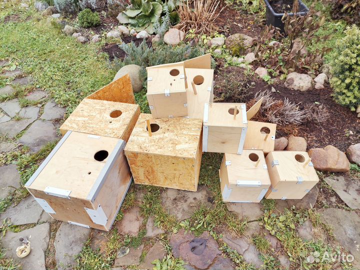 Домики для птиц