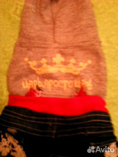 Одежда для маленькой собачки