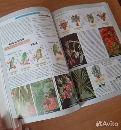 Книга о растениях