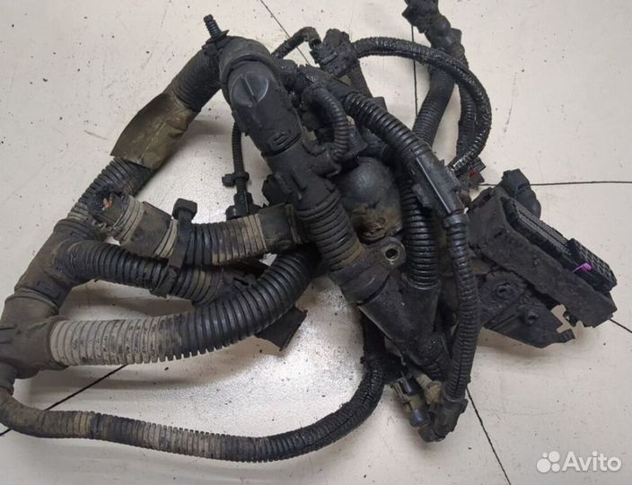 Проводка, эбу двигателя iveco