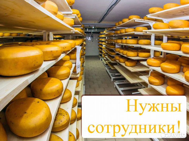 Требуются рабочие