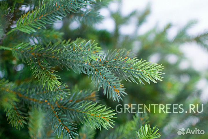Ель Green Trees 1,8м с литыми ветками
