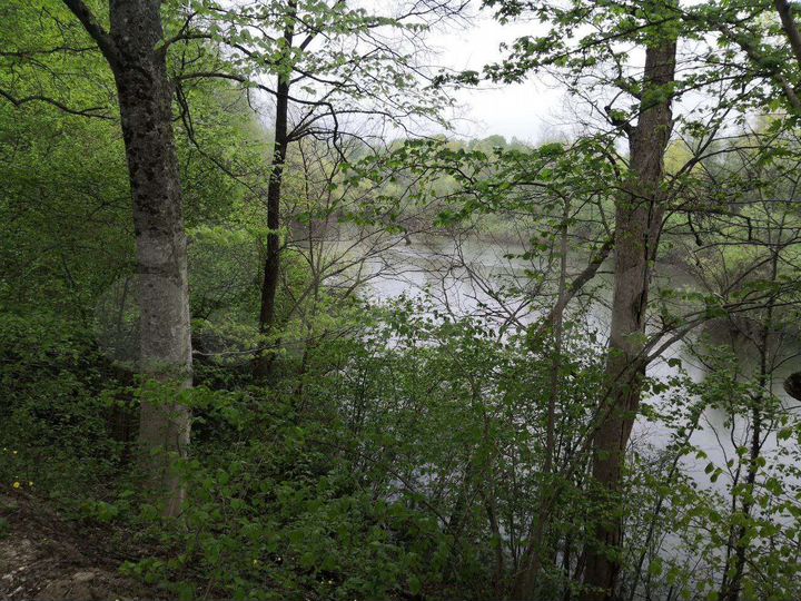 Участок 14,09 га (ИЖС)