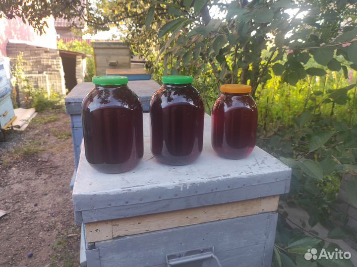 Продам натуральный гречишный мед