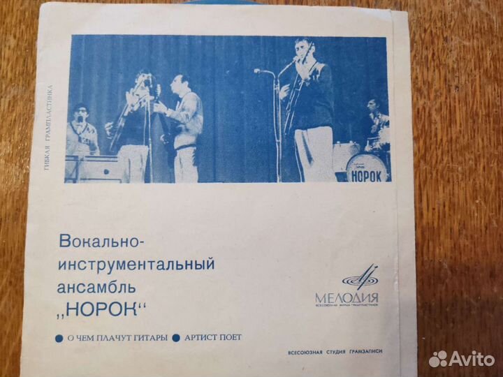 Гибкие пластинки