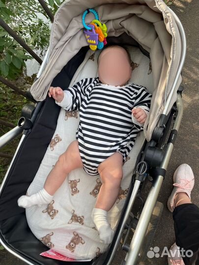 Боди для доставки