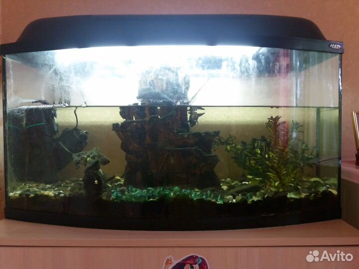 Аквариум