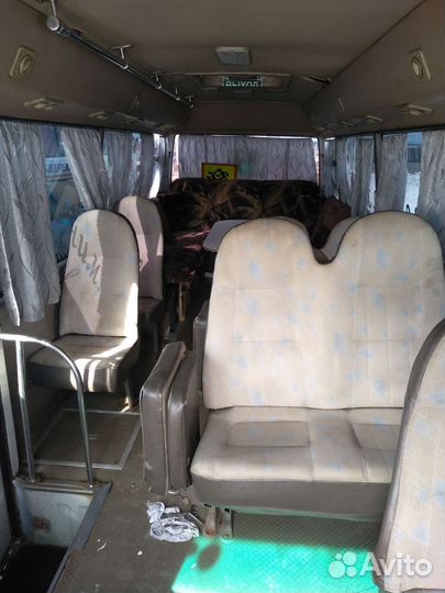 Голд дракон