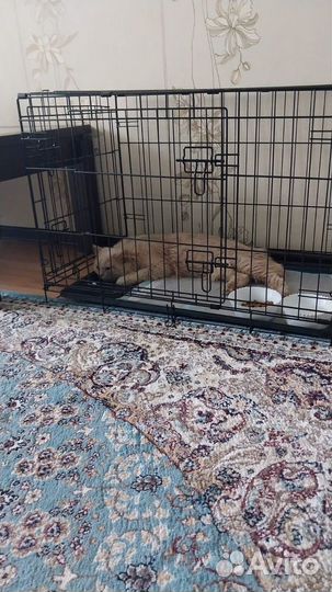 Клетка вольер для животных