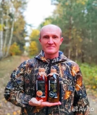 Дары/П Гриб шиитаке на масле веселка рейши мёд