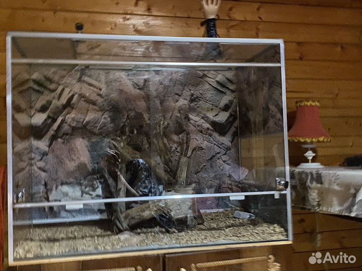 Террариум большой