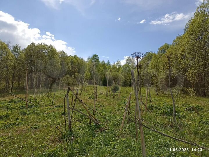 Участок 12 сот. (ИЖС)