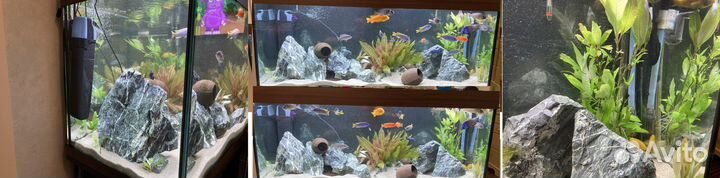 Аквариум Juwel Rio 240 LED + тумба и оборудование