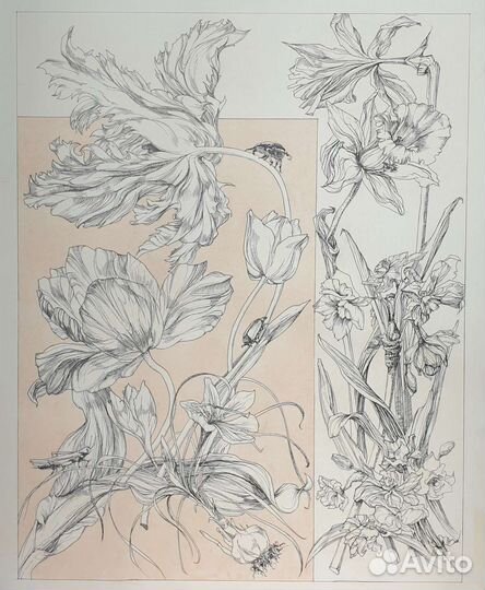 Графика на заказ