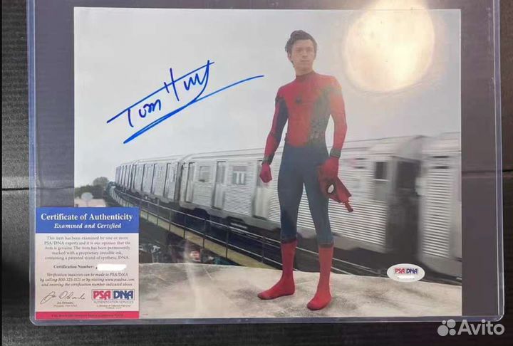 Автографы знаменитостей