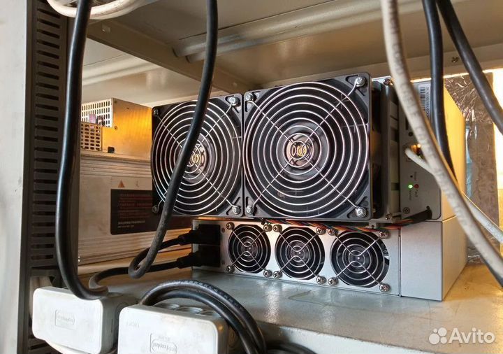 Асик майнер Antminer asic Whatsminer