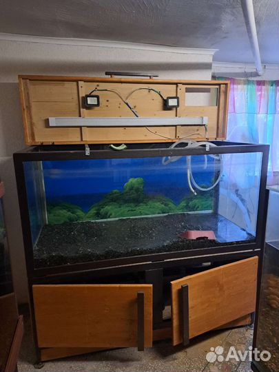 Аквариум